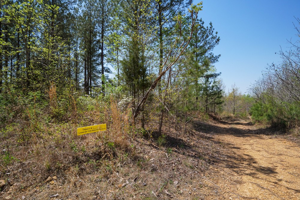 B South Hurricane Creek Road Linden, TN 37096 - Photo 12 of 30 Gallery Image 12