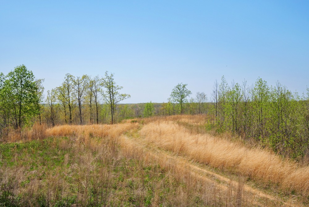 B South Hurricane Creek Road Linden, TN 37096 - Photo 15 of 30 Gallery Image 15