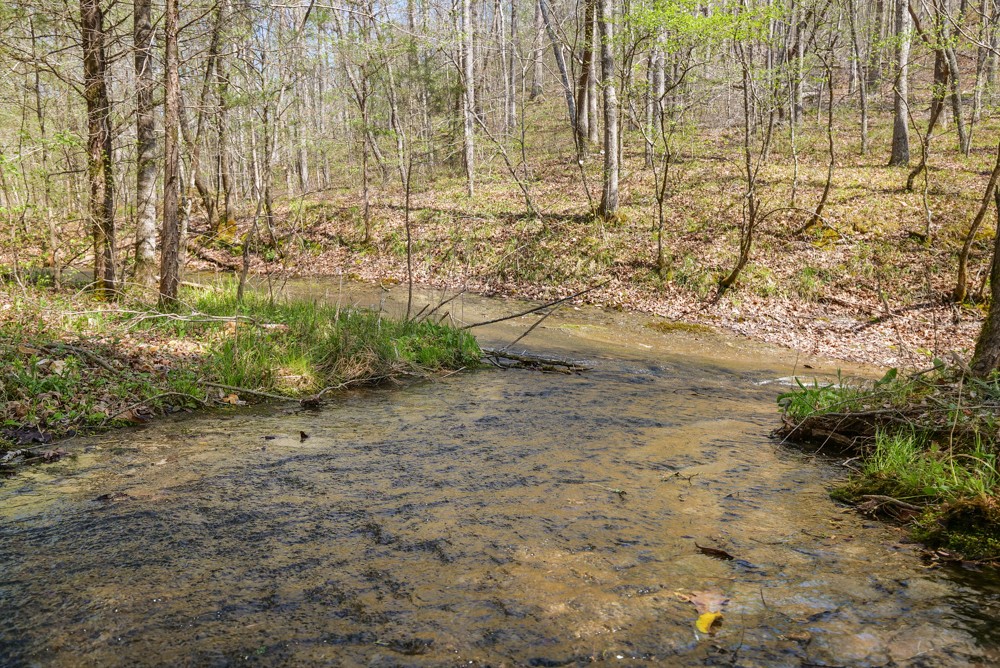 B South Hurricane Creek Road Linden, TN 37096 - Photo 16 of 30 Gallery Image 16