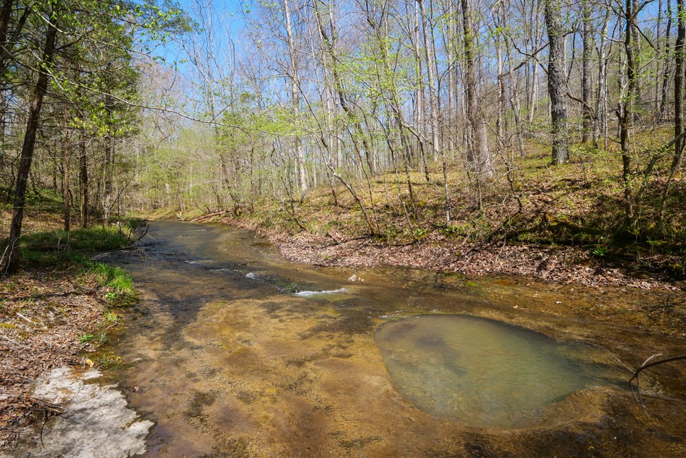 B South Hurricane Creek Road Linden, TN 37096 - Photo 17 of 30 Gallery Image 17
