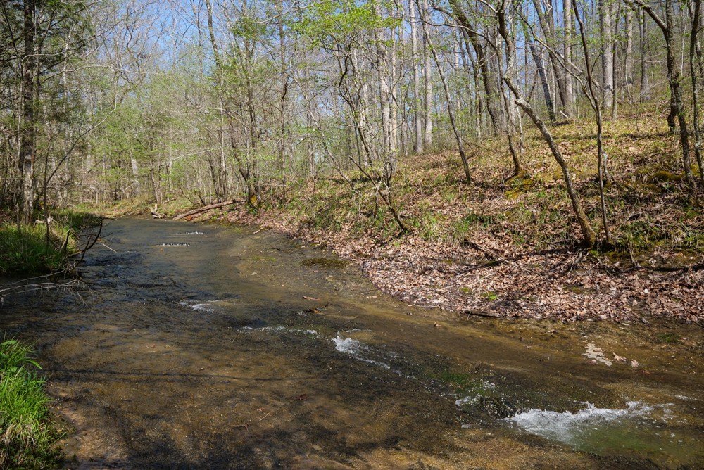 B South Hurricane Creek Road Linden, TN 37096 - Photo 18 of 30 Gallery Image 18