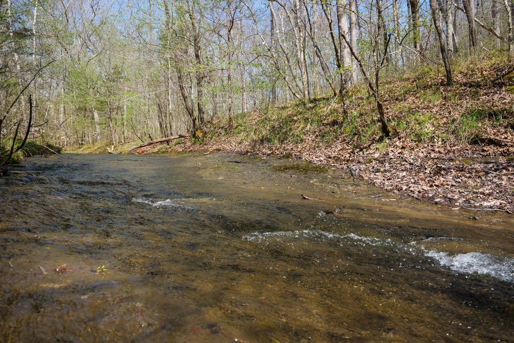 B South Hurricane Creek Road Linden, TN 37096 - Photo 19 of 30 Gallery Image 19