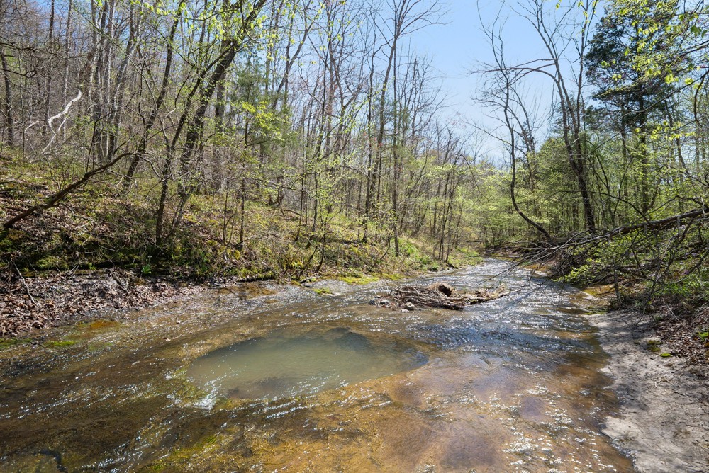 B South Hurricane Creek Road Linden, TN 37096 - Photo 20 of 30 Gallery Image 20