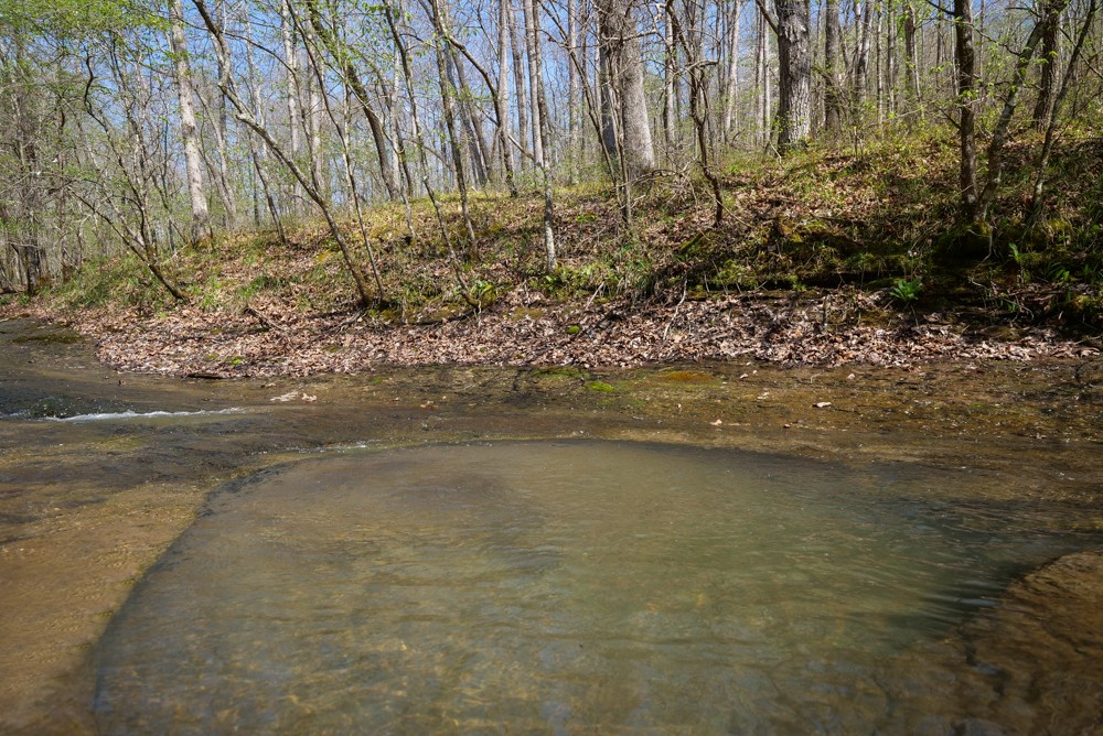 B South Hurricane Creek Road Linden, TN 37096 - Photo 22 of 30 Gallery Image 22