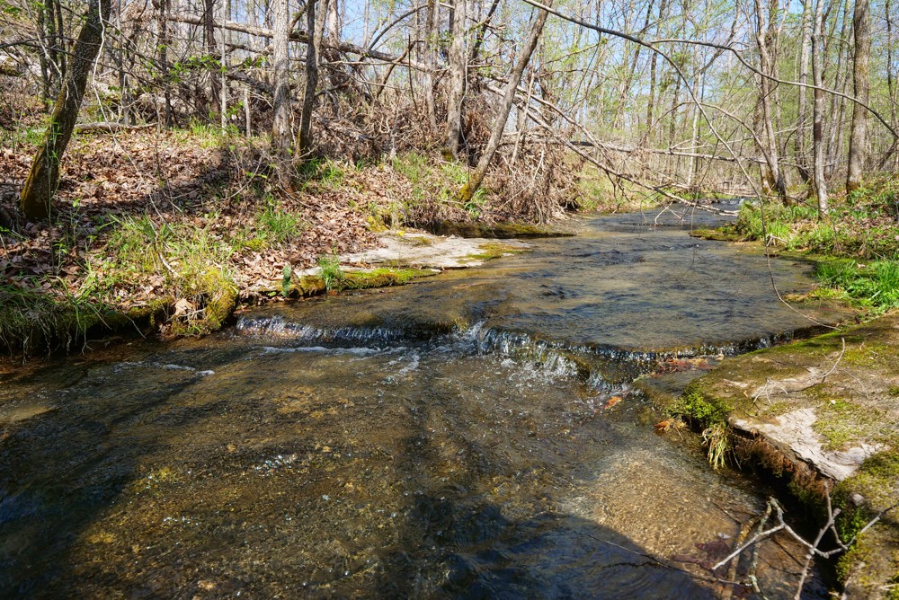 B South Hurricane Creek Road Linden, TN 37096 - Photo 23 of 30 Gallery Image 23