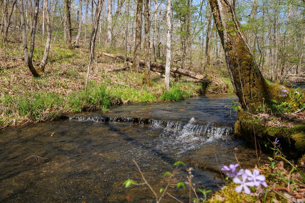 B South Hurricane Creek Road Linden, TN 37096 - Photo 24 of 30 Gallery Image 24