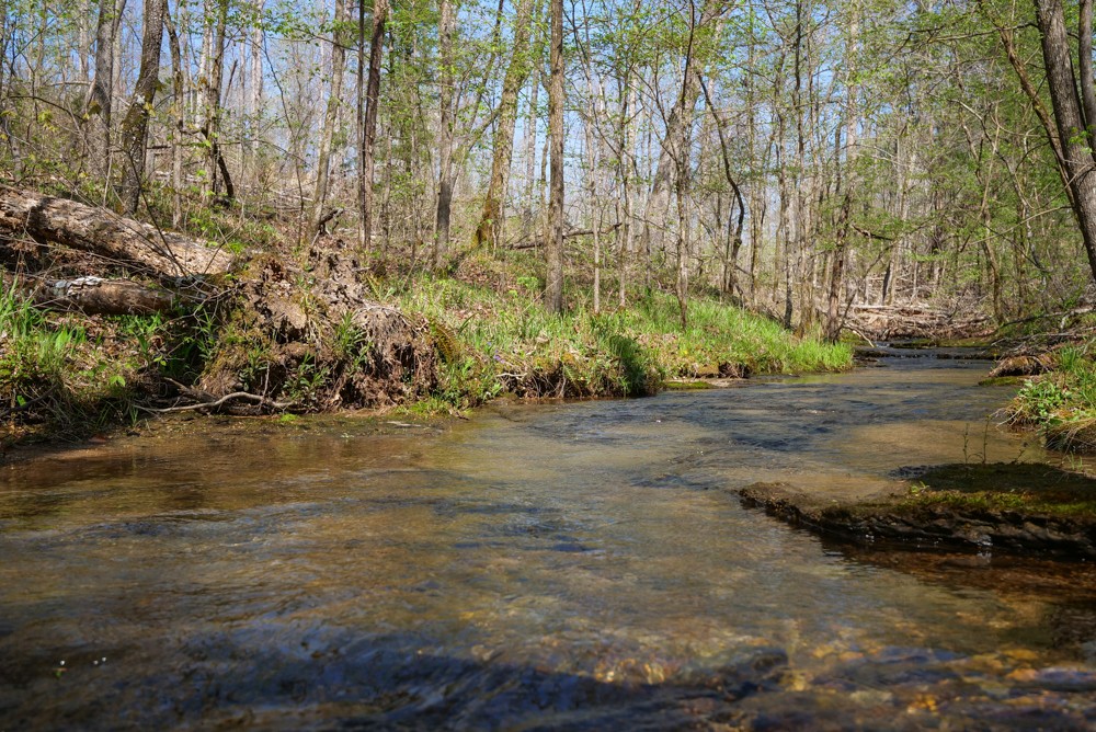 B South Hurricane Creek Road Linden, TN 37096 - Photo 25 of 30 Gallery Image 25