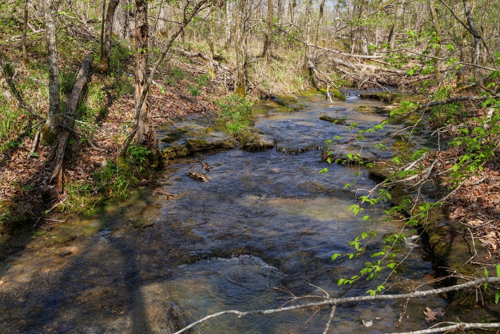 B South Hurricane Creek Road Linden, TN 37096 - Photo 26 of 30 Gallery Image 26