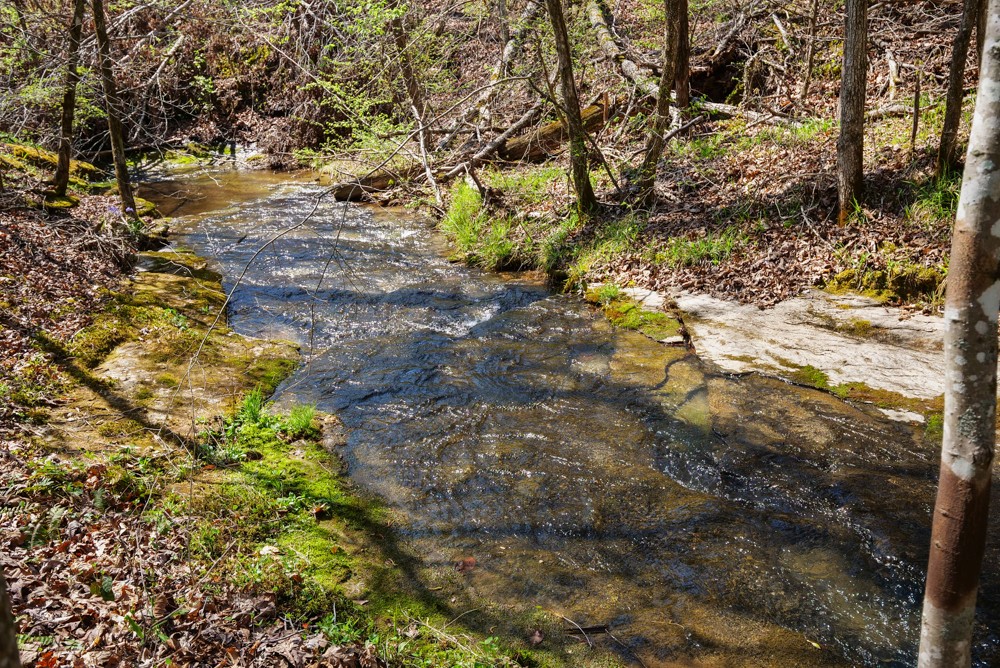 B South Hurricane Creek Road Linden, TN 37096 - Photo 27 of 30 Gallery Image 27