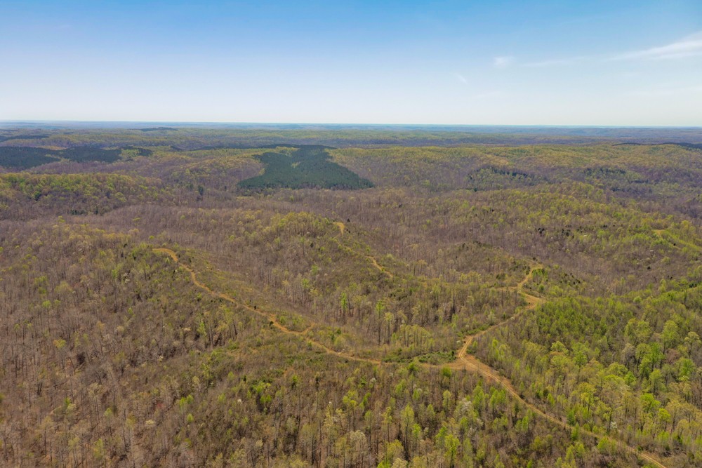 B South Hurricane Creek Road Linden, TN 37096 - Photo 29 of 30 Gallery Image 29