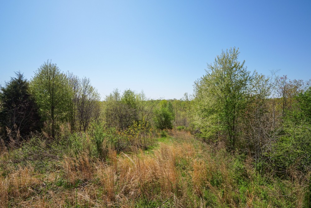 B South Hurricane Creek Road Linden, TN 37096 - Photo 5 of 30 Gallery Image 5