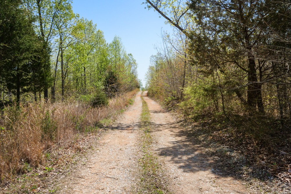 B South Hurricane Creek Road Linden, TN 37096 - Photo 6 of 30 Gallery Image 6