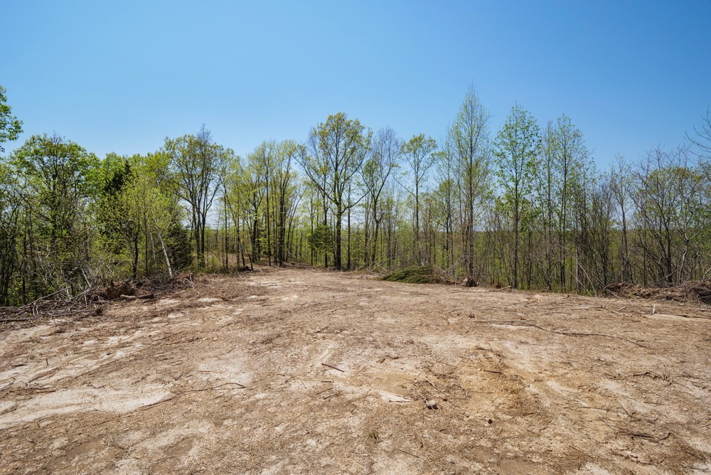 B South Hurricane Creek Road Linden, TN 37096 - Photo 10 of 30 Gallery Image 10