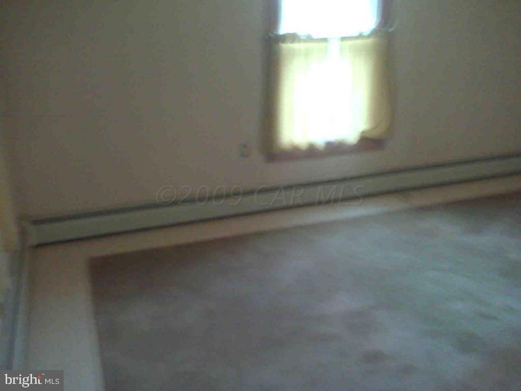 1206 Snow Hill Road Stockton, MD 21864 - Photo 6 of 6 Gallery Image 6