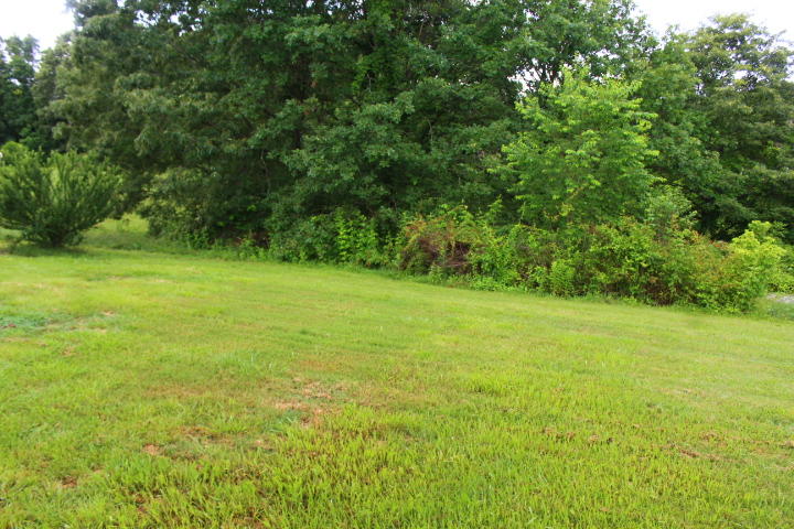 141 Grissom Road Maynardville, TN 37807 - Photo 25 of 28 IMG_8748