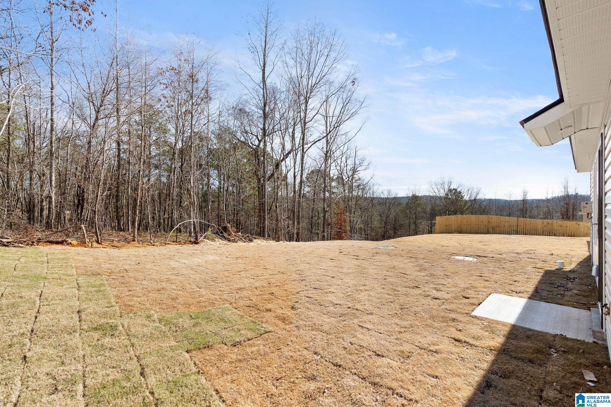 64 Trophy Loop Lincoln, AL 35096 - Photo 20 of 25