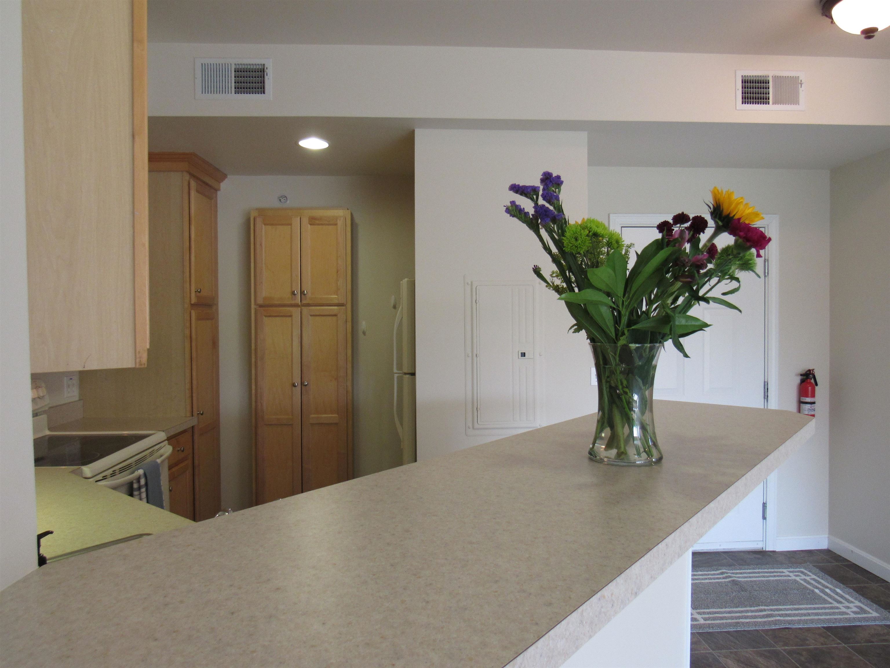 160 Wiley Road, Unit 201 Colchester, VT 05446 - Photo 16 of 30 Gallery Image 16