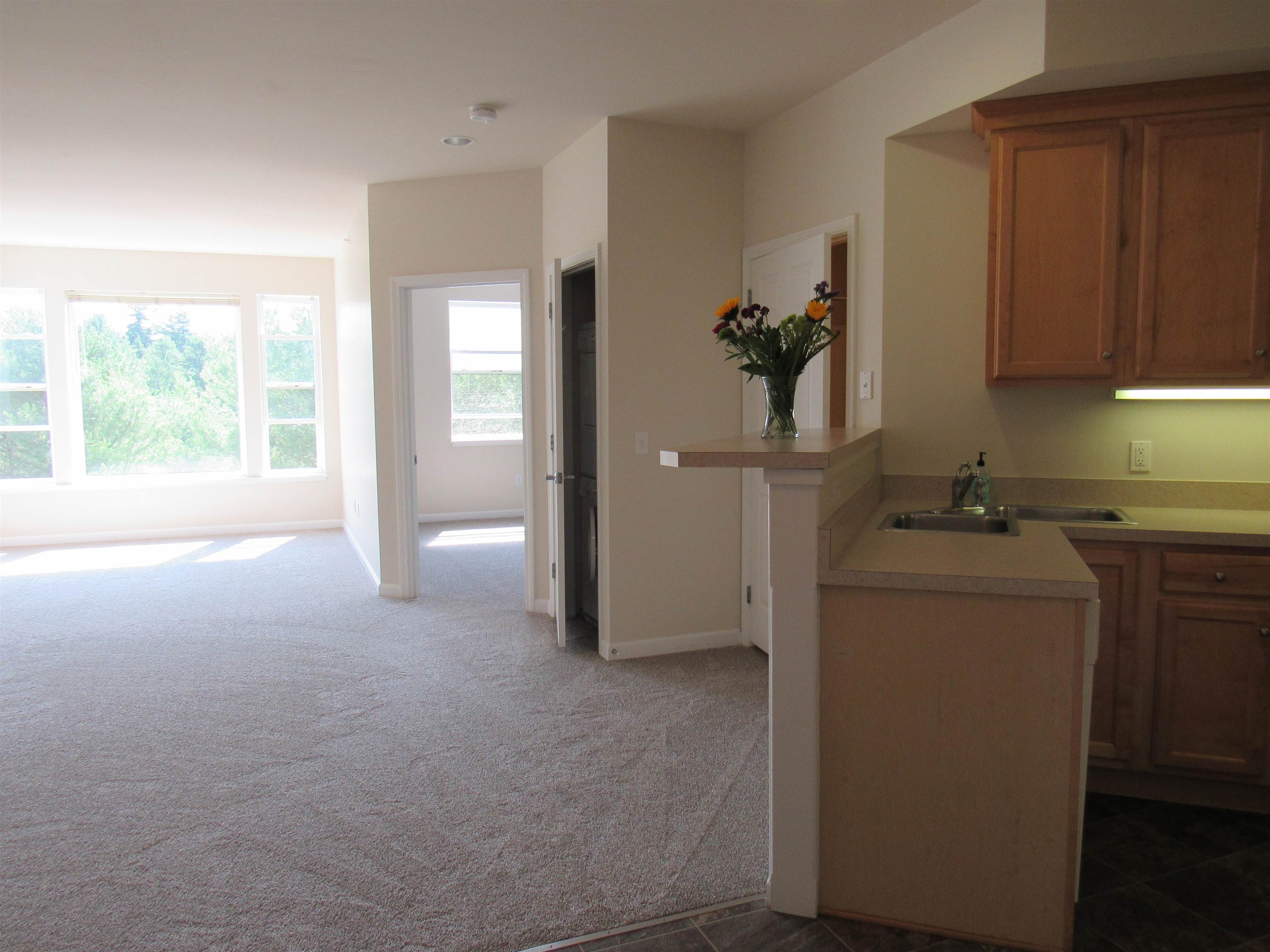 160 Wiley Road, Unit 201 Colchester, VT 05446 - Photo 5 of 30 Gallery Image 5