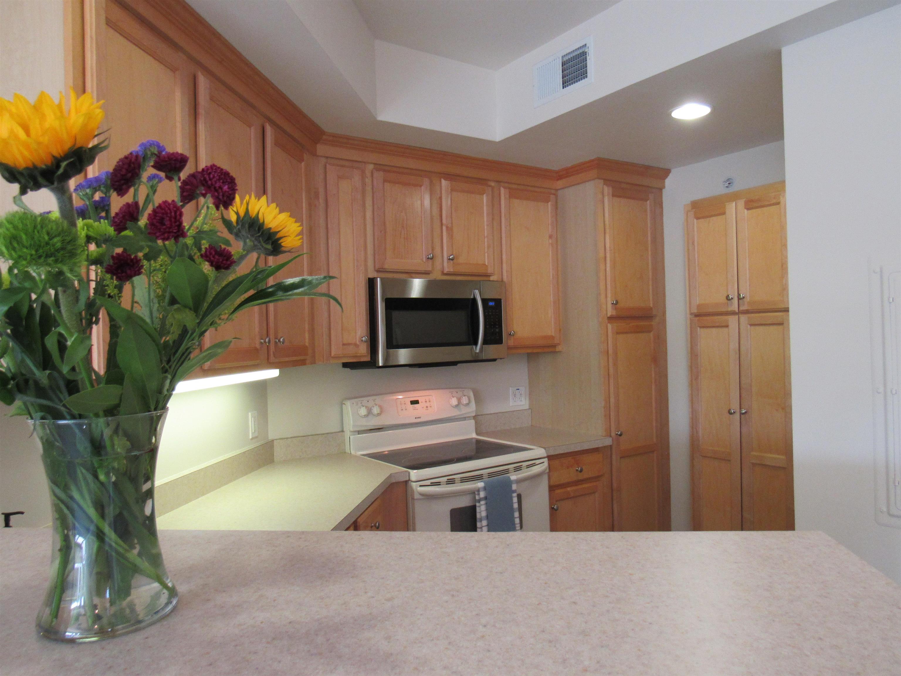 160 Wiley Road, Unit 201 Colchester, VT 05446 - Photo 6 of 30 Gallery Image 6