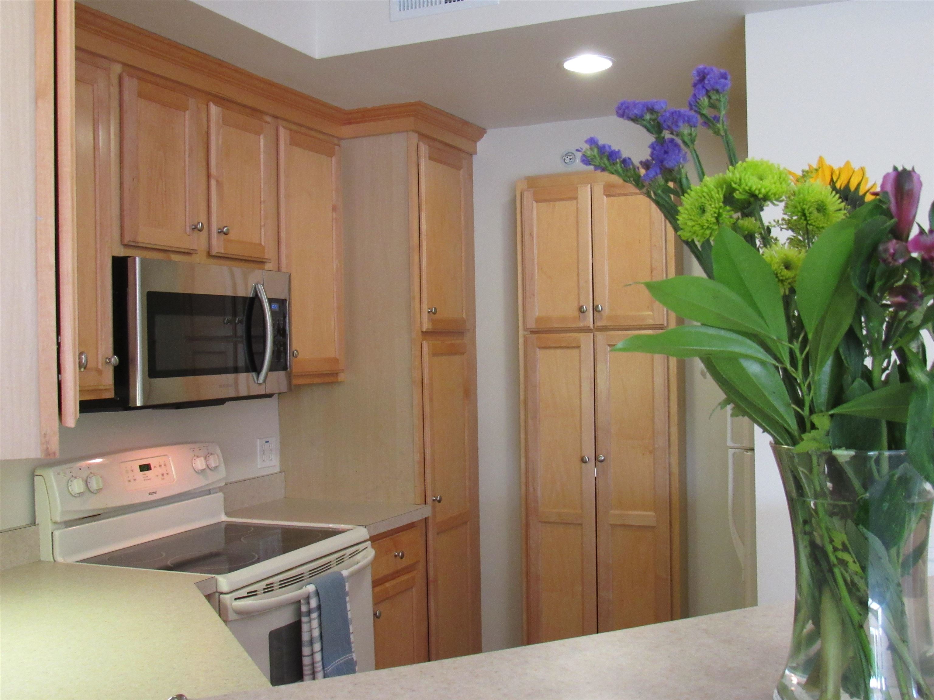 160 Wiley Road, Unit 201 Colchester, VT 05446 - Photo 7 of 30 Gallery Image 7