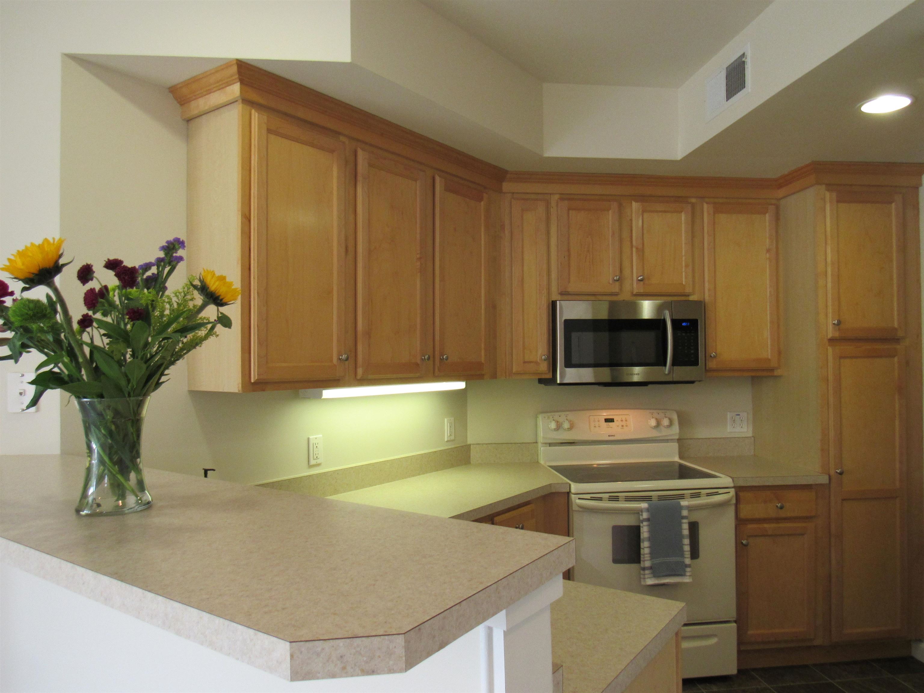 160 Wiley Road, Unit 201 Colchester, VT 05446 - Photo 8 of 30 Gallery Image 8