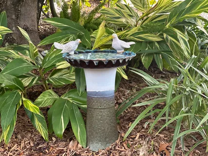 $2,060,000 | 208 Birch Street, Santa Rosa Beach, FL 32459