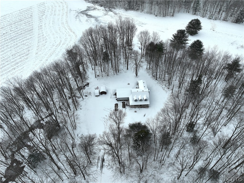8033 Saltzman Road Vienna, NY 13308 - Photo 35 of 40