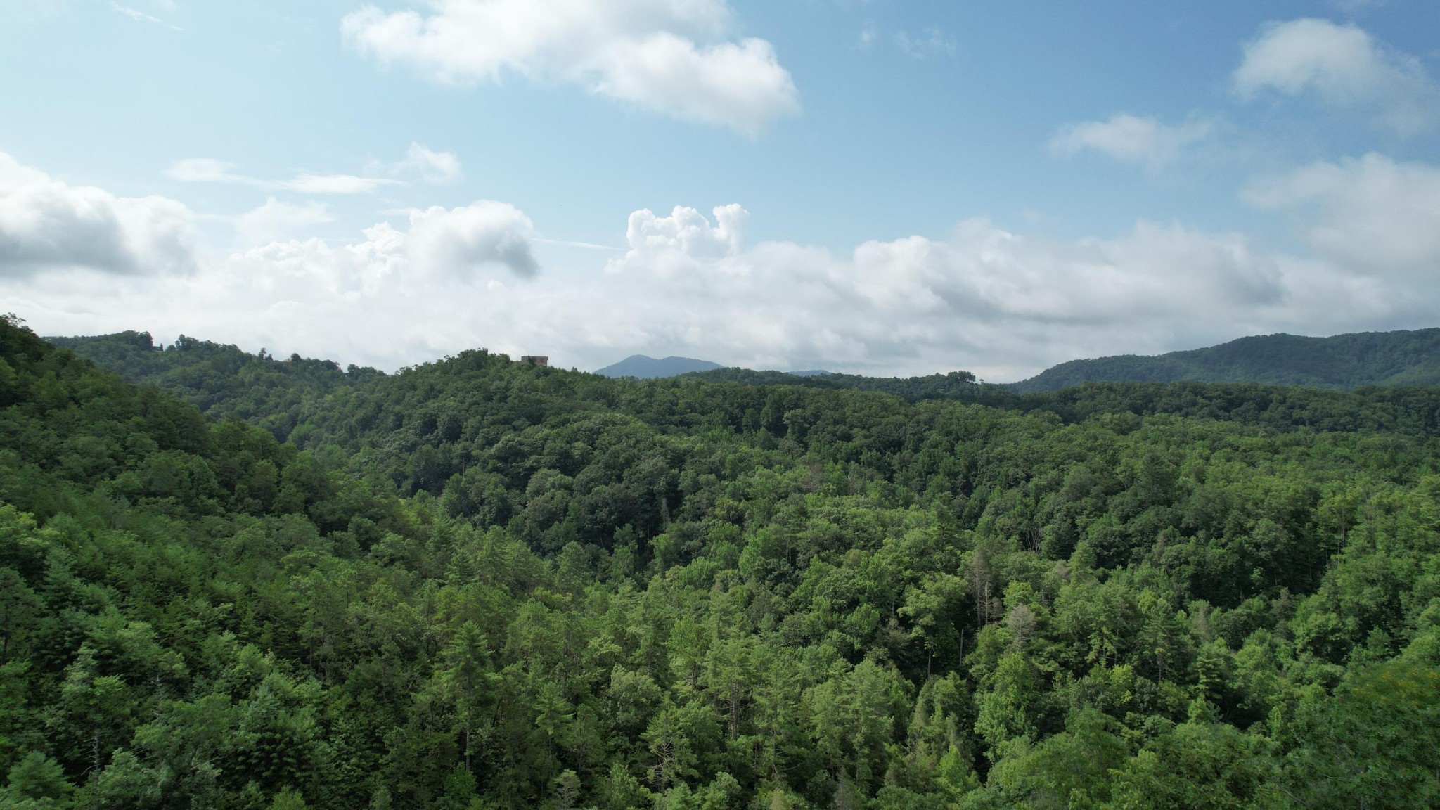 98 Black Powder Lane Sevierville, TN 37862 - Photo 22 of 30