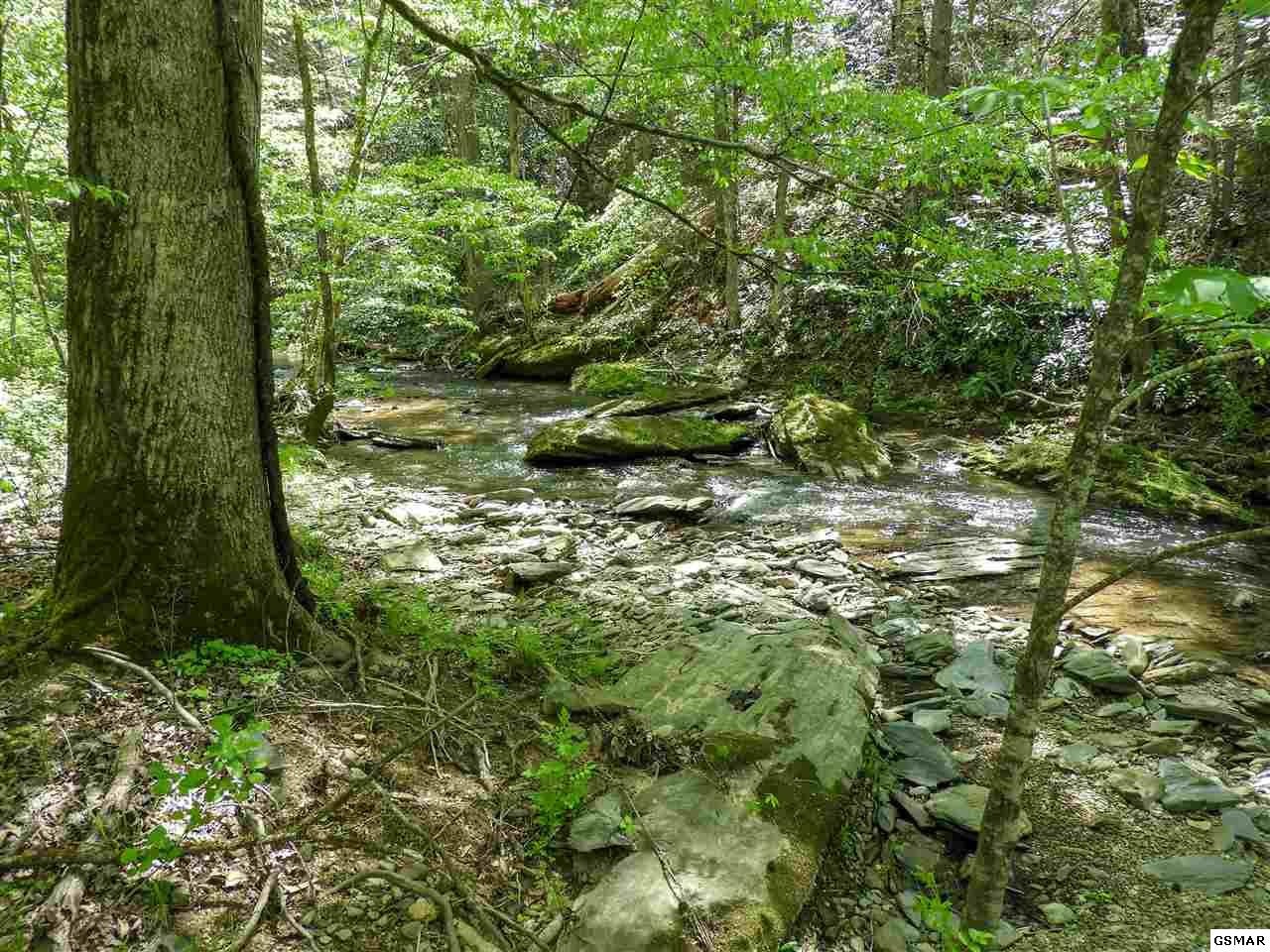7 Old Birds Creek Road Sevierville, TN 37876 - Photo 2 of 15