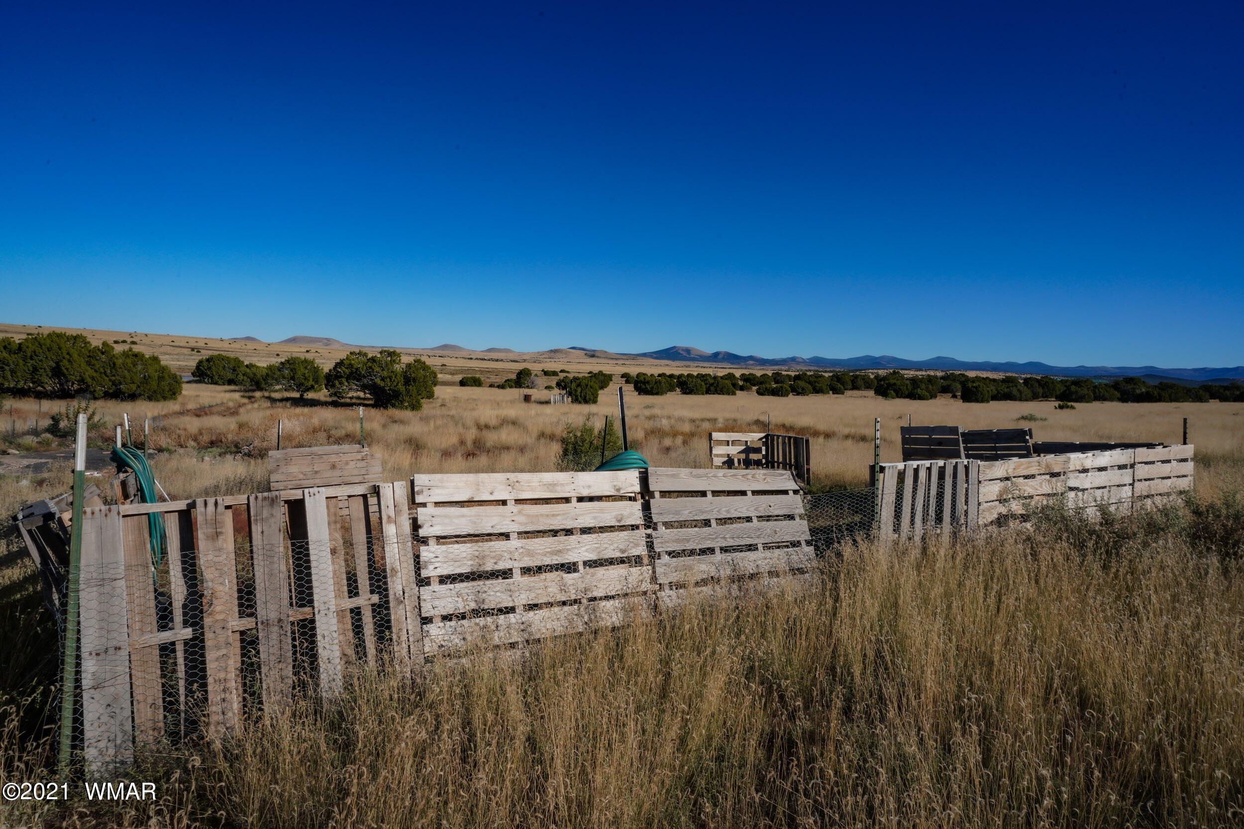 3 County Road Concho, AZ 85924 - Photo 11 of 66