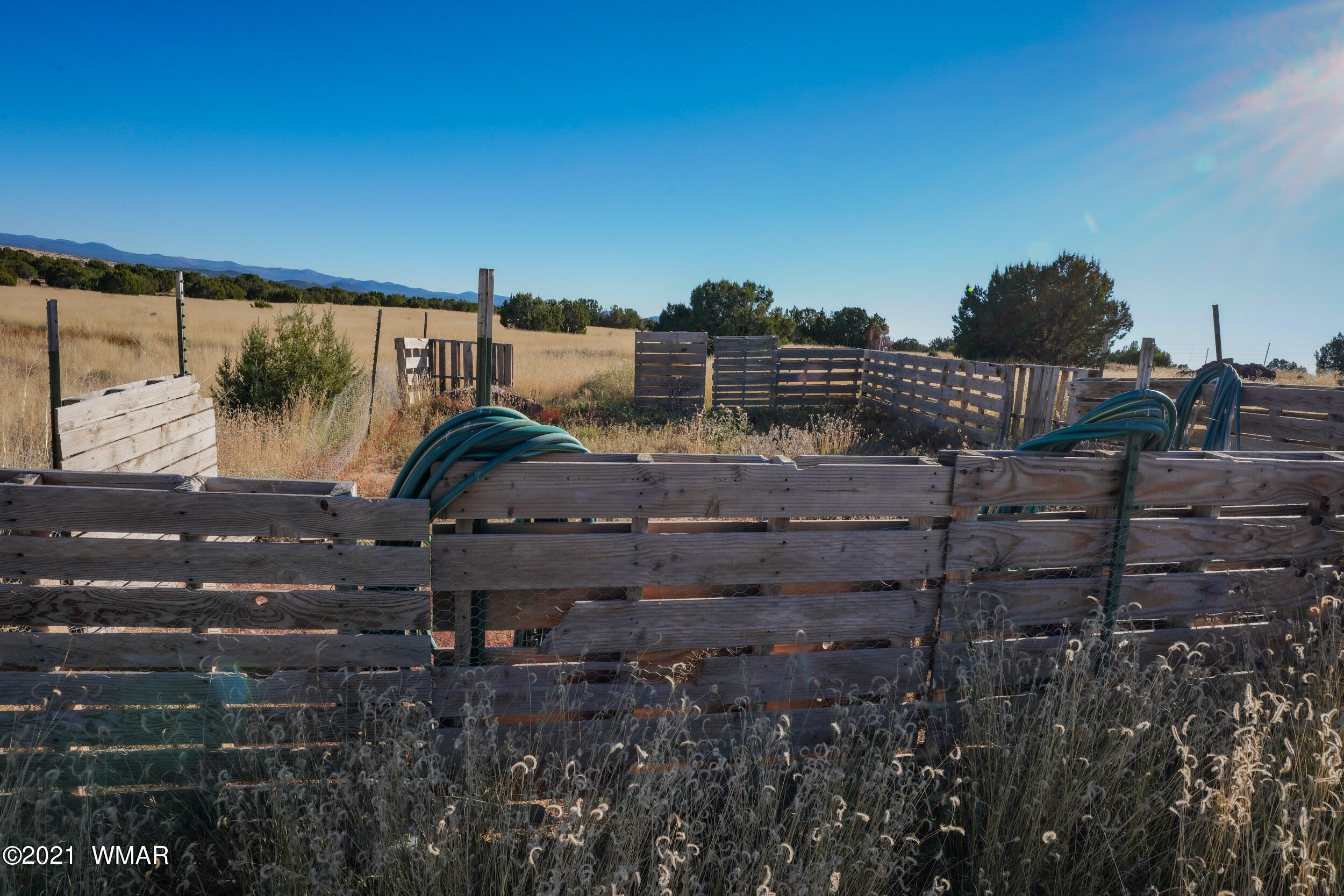 3 County Road Concho, AZ 85924 - Photo 12 of 66