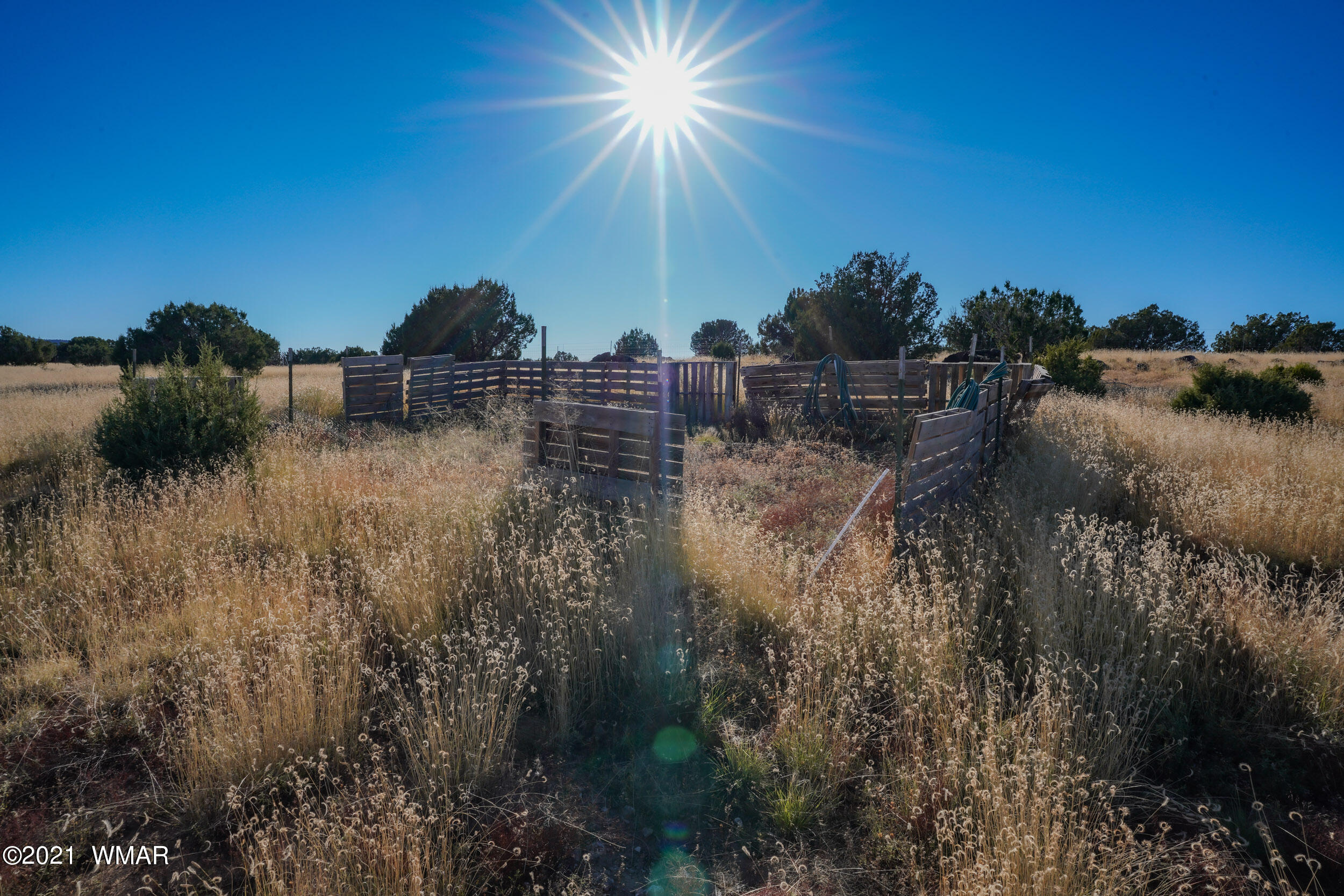 3 County Road Concho, AZ 85924 - Photo 13 of 66