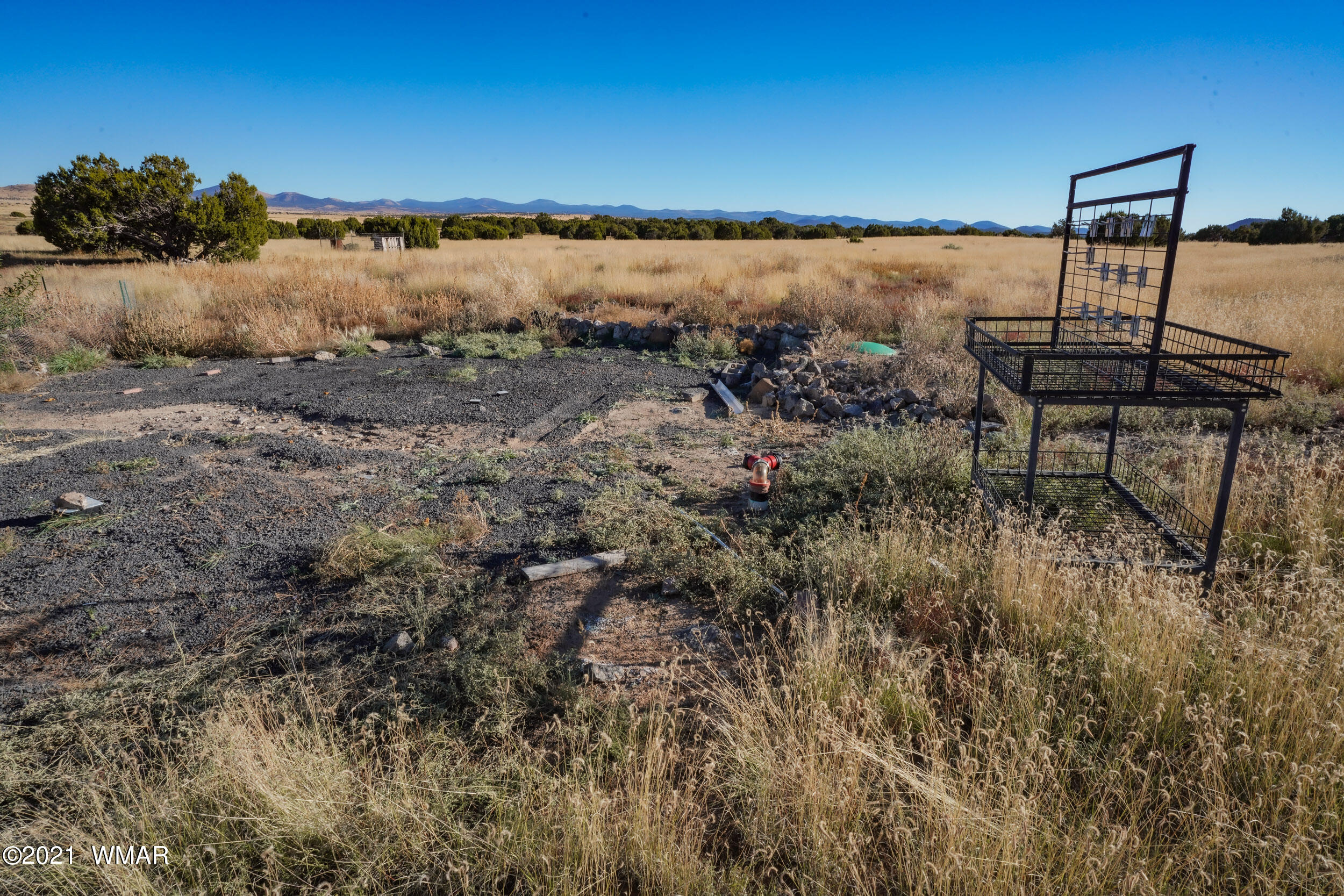 3 County Road Concho, AZ 85924 - Photo 15 of 66
