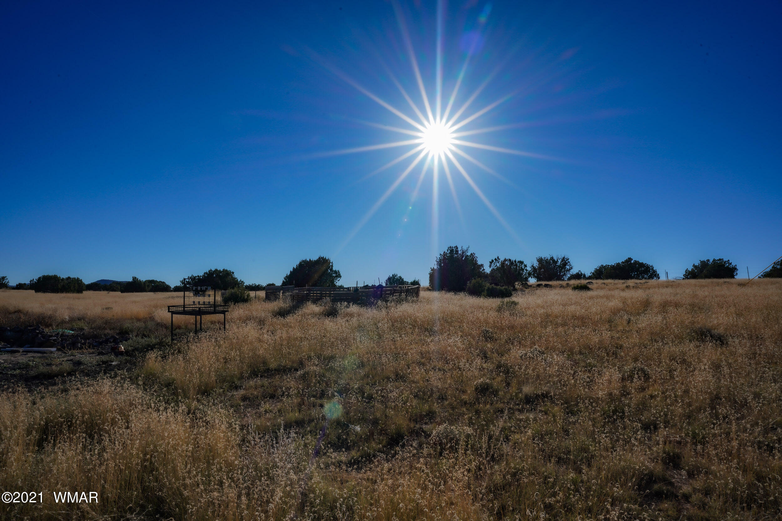3 County Road Concho, AZ 85924 - Photo 19 of 66