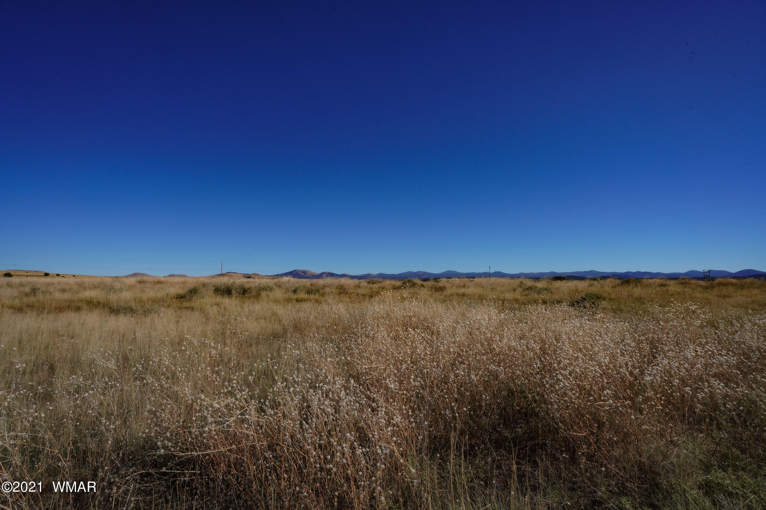 3 County Road Concho, AZ 85924 - Photo 21 of 66
