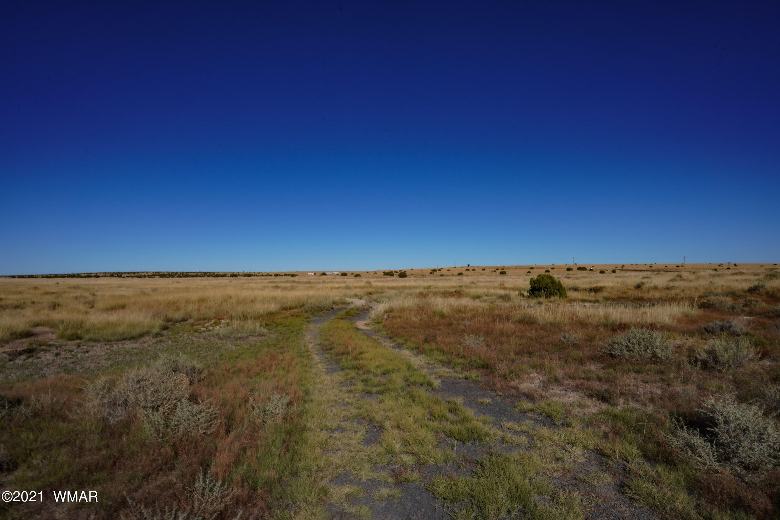 3 County Road Concho, AZ 85924 - Photo 23 of 66