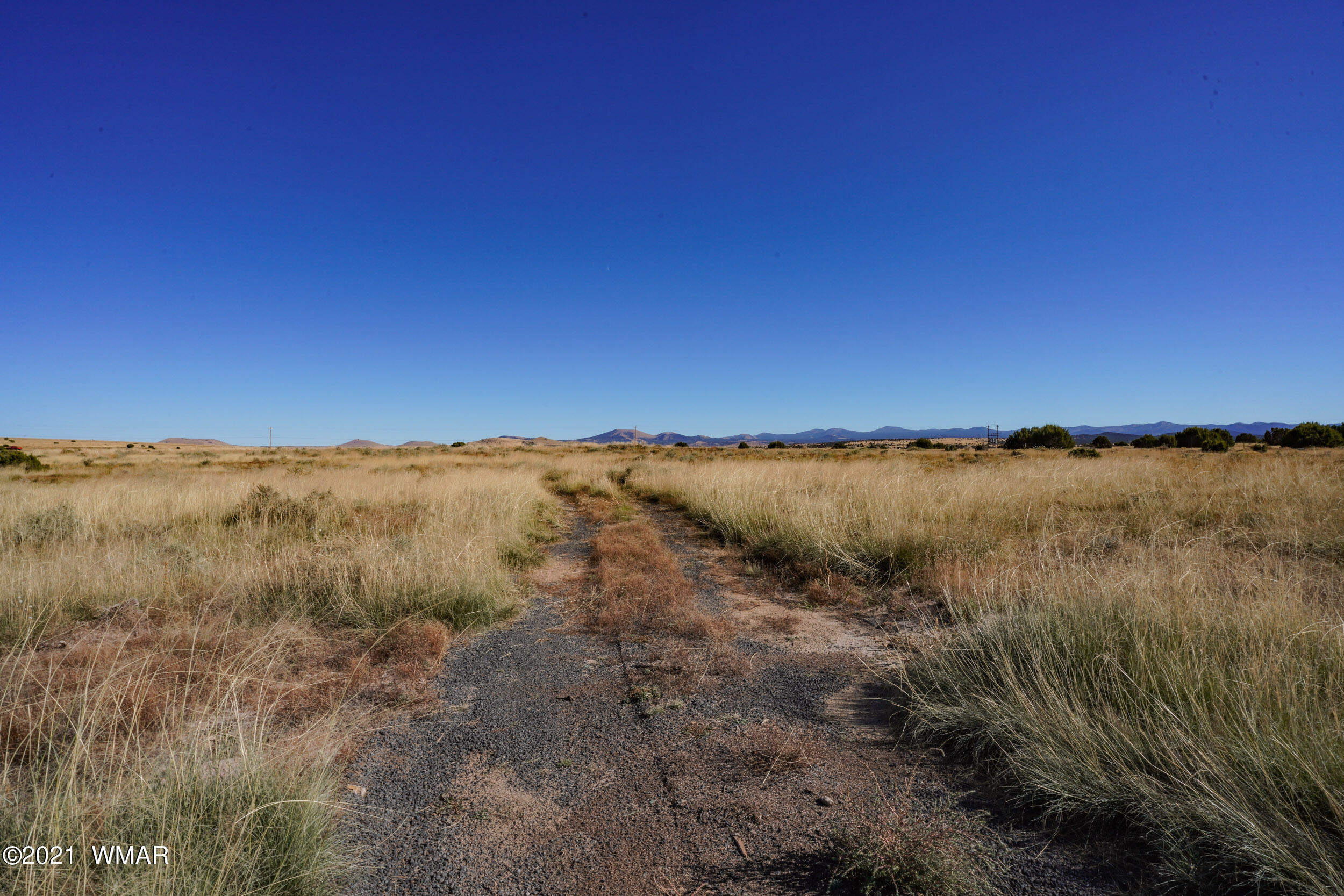 3 County Road Concho, AZ 85924 - Photo 24 of 66