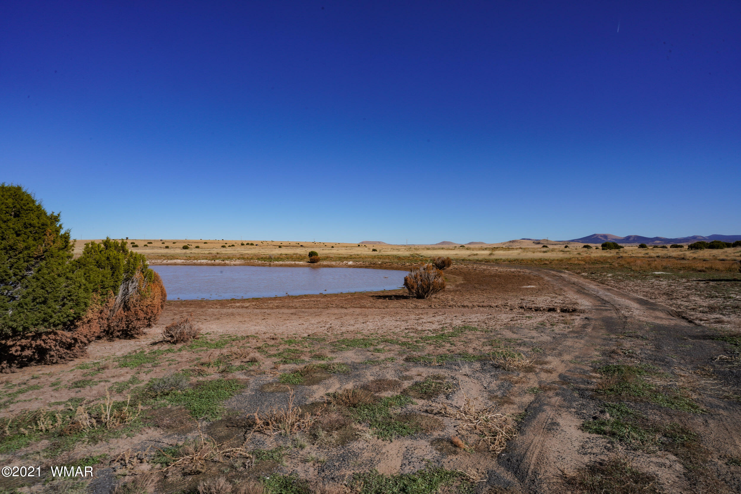 3 County Road Concho, AZ 85924 - Photo 25 of 66