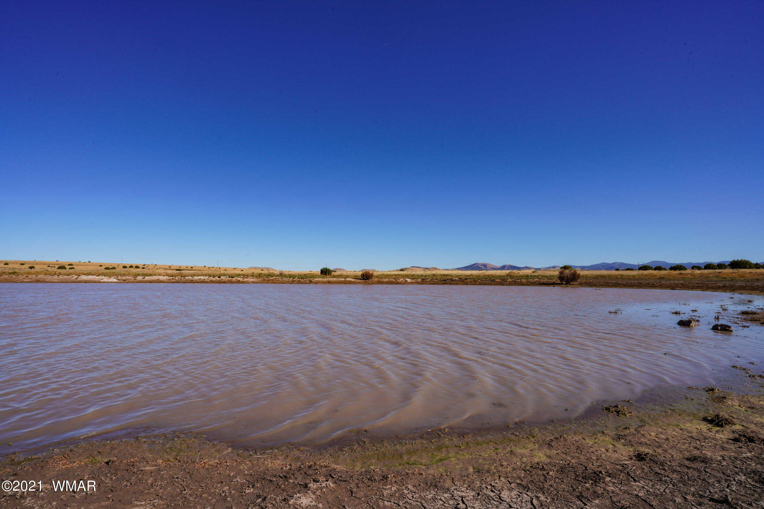 3 County Road Concho, AZ 85924 - Photo 30 of 66