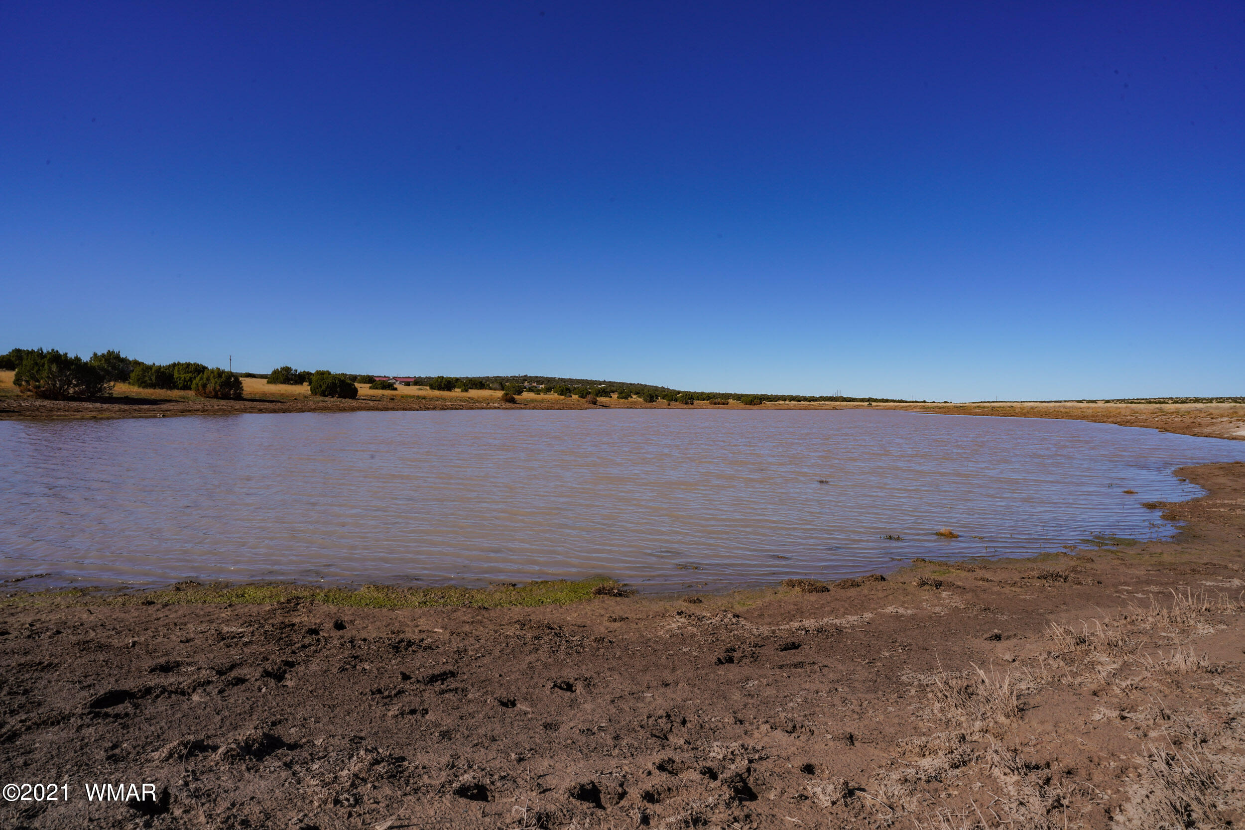 3 County Road Concho, AZ 85924 - Photo 33 of 66