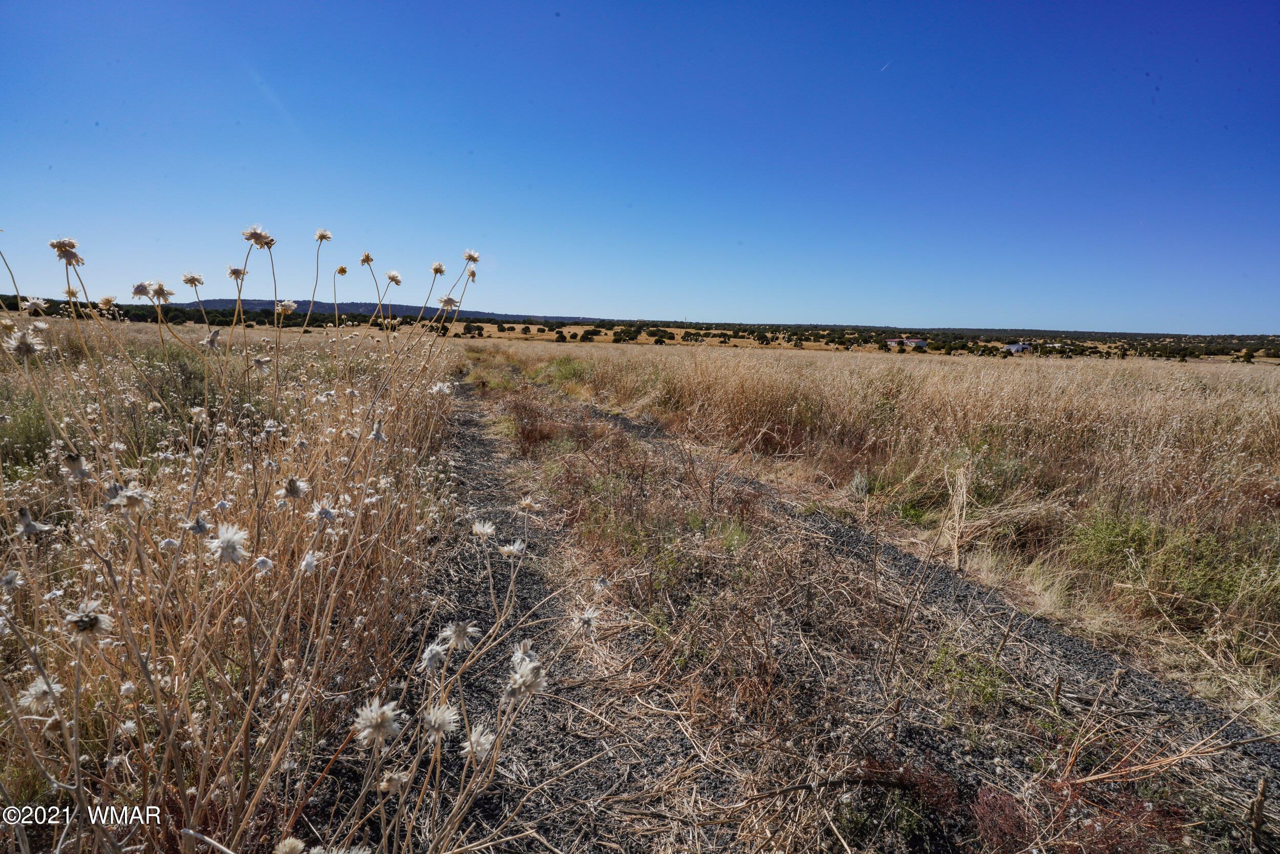 3 County Road Concho, AZ 85924 - Photo 34 of 66