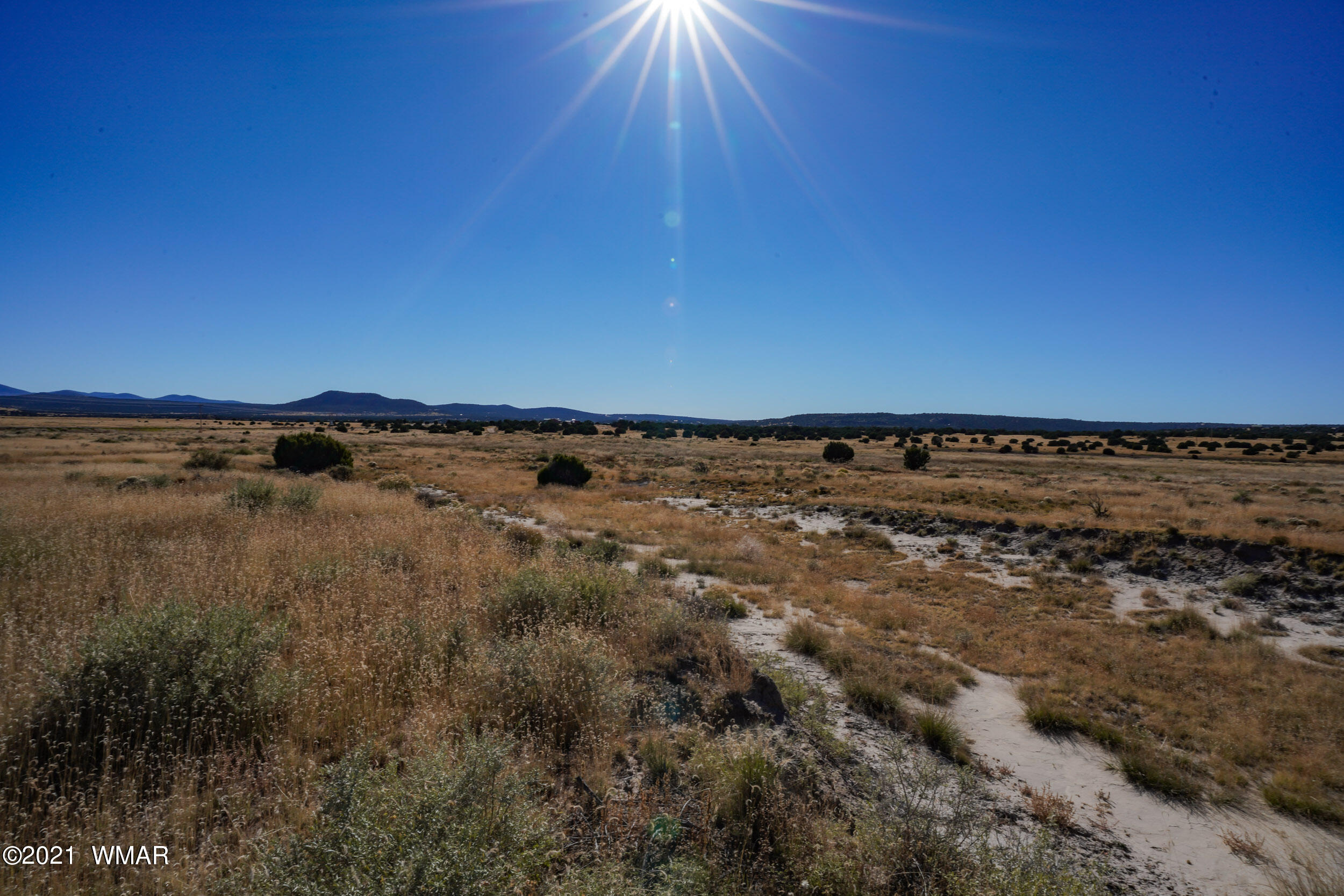 3 County Road Concho, AZ 85924 - Photo 35 of 66