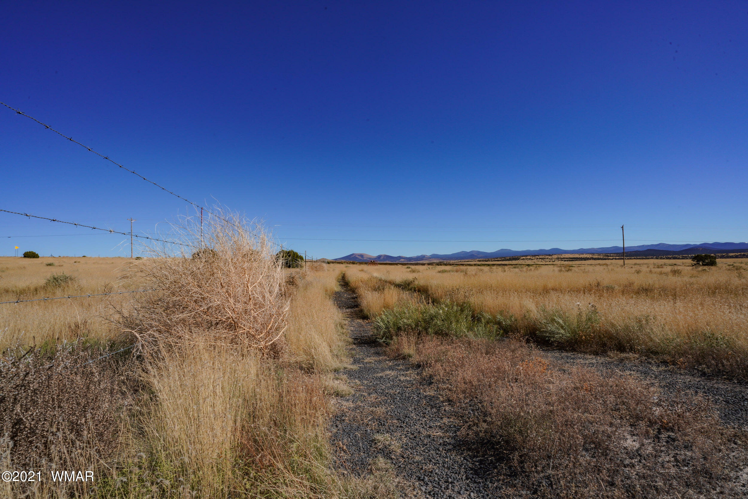 3 County Road Concho, AZ 85924 - Photo 36 of 66