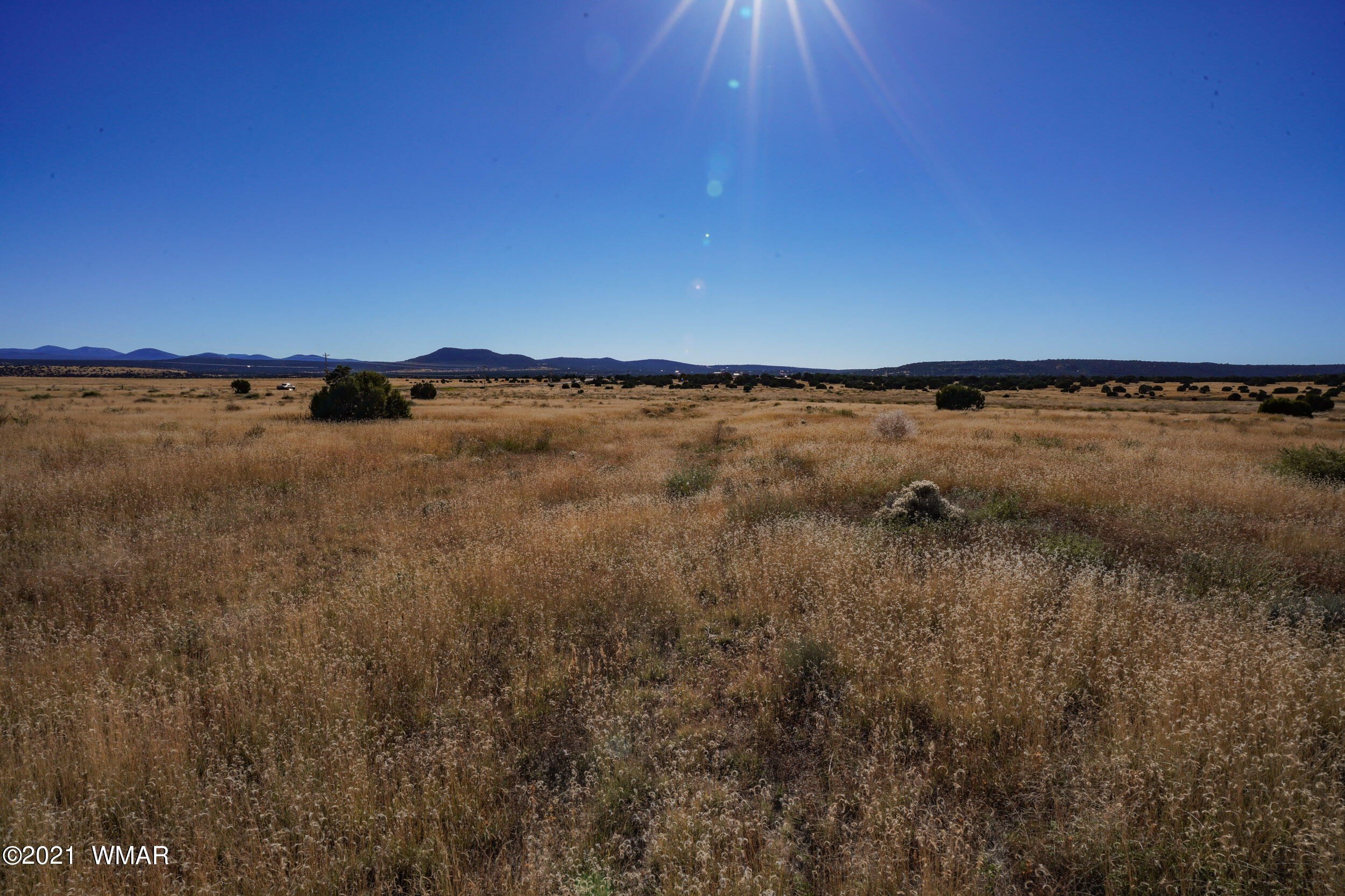 3 County Road Concho, AZ 85924 - Photo 37 of 66