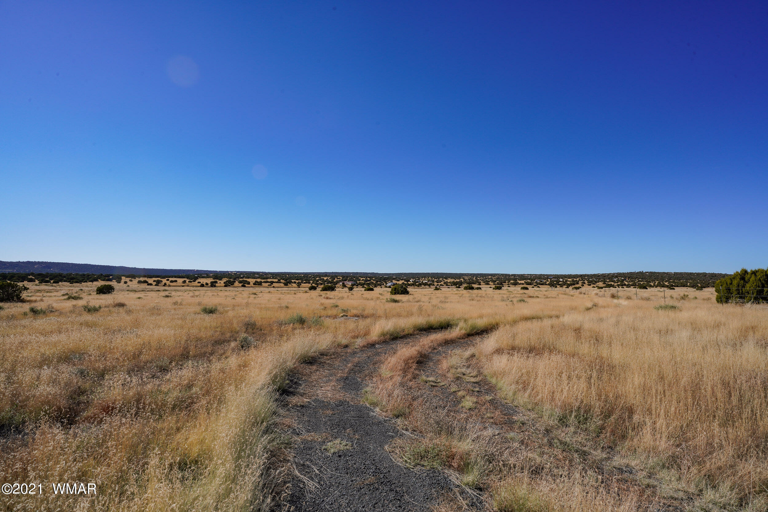 3 County Road Concho, AZ 85924 - Photo 38 of 66