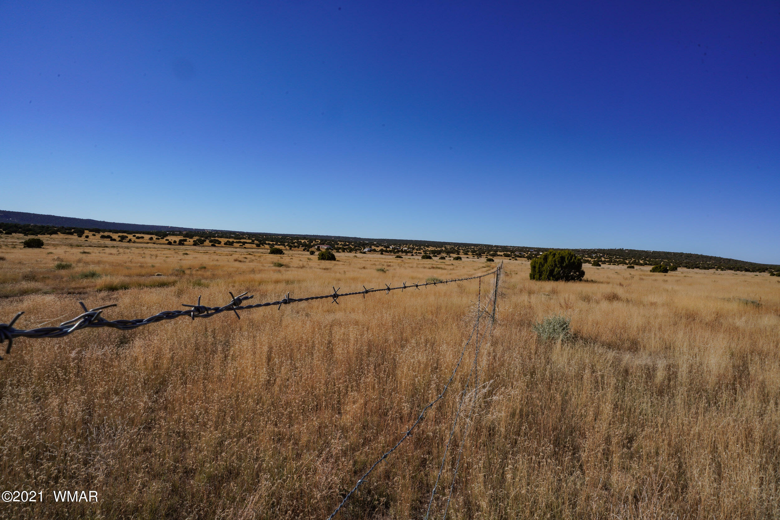 3 County Road Concho, AZ 85924 - Photo 40 of 66