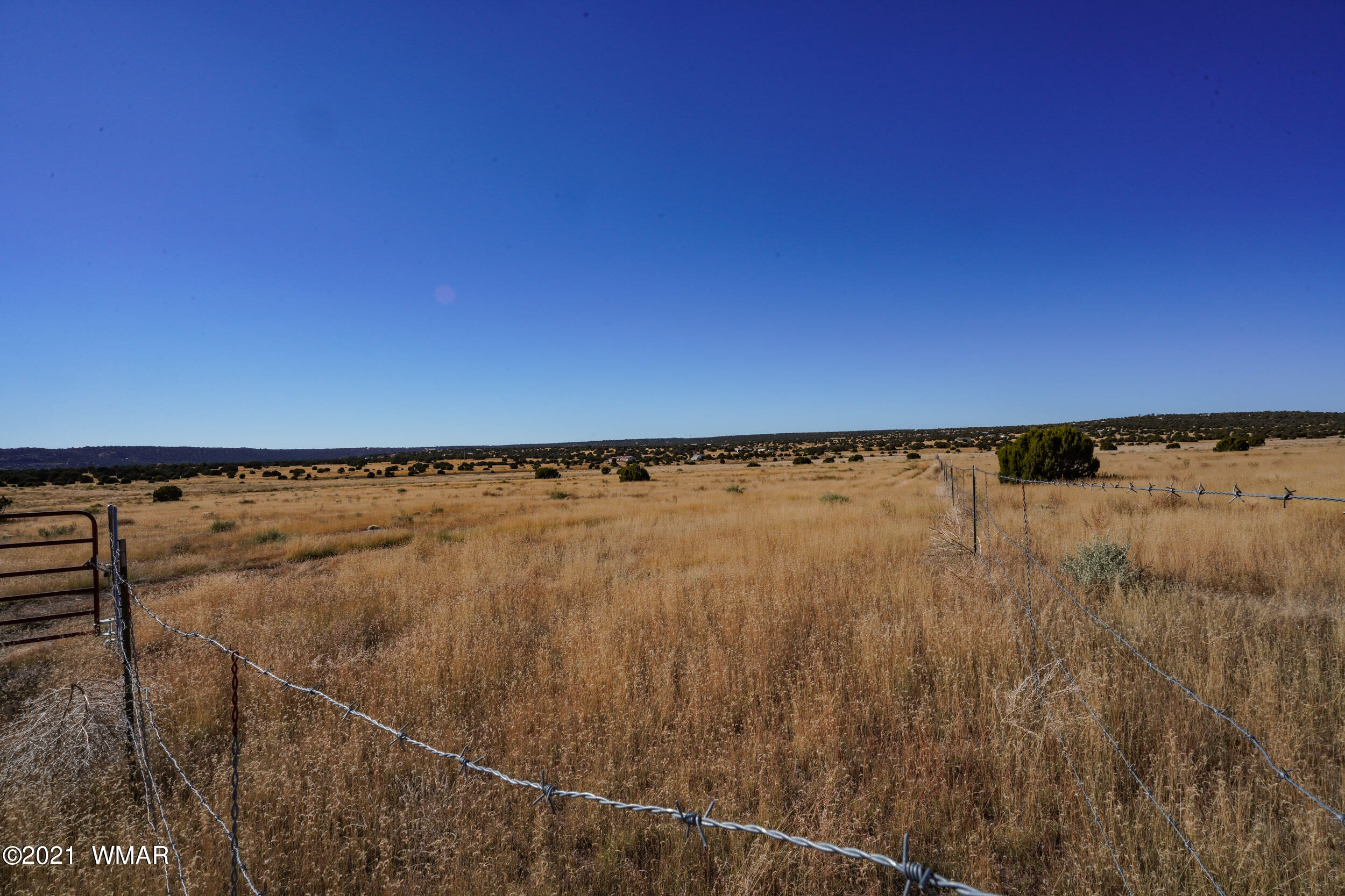 3 County Road Concho, AZ 85924 - Photo 41 of 66