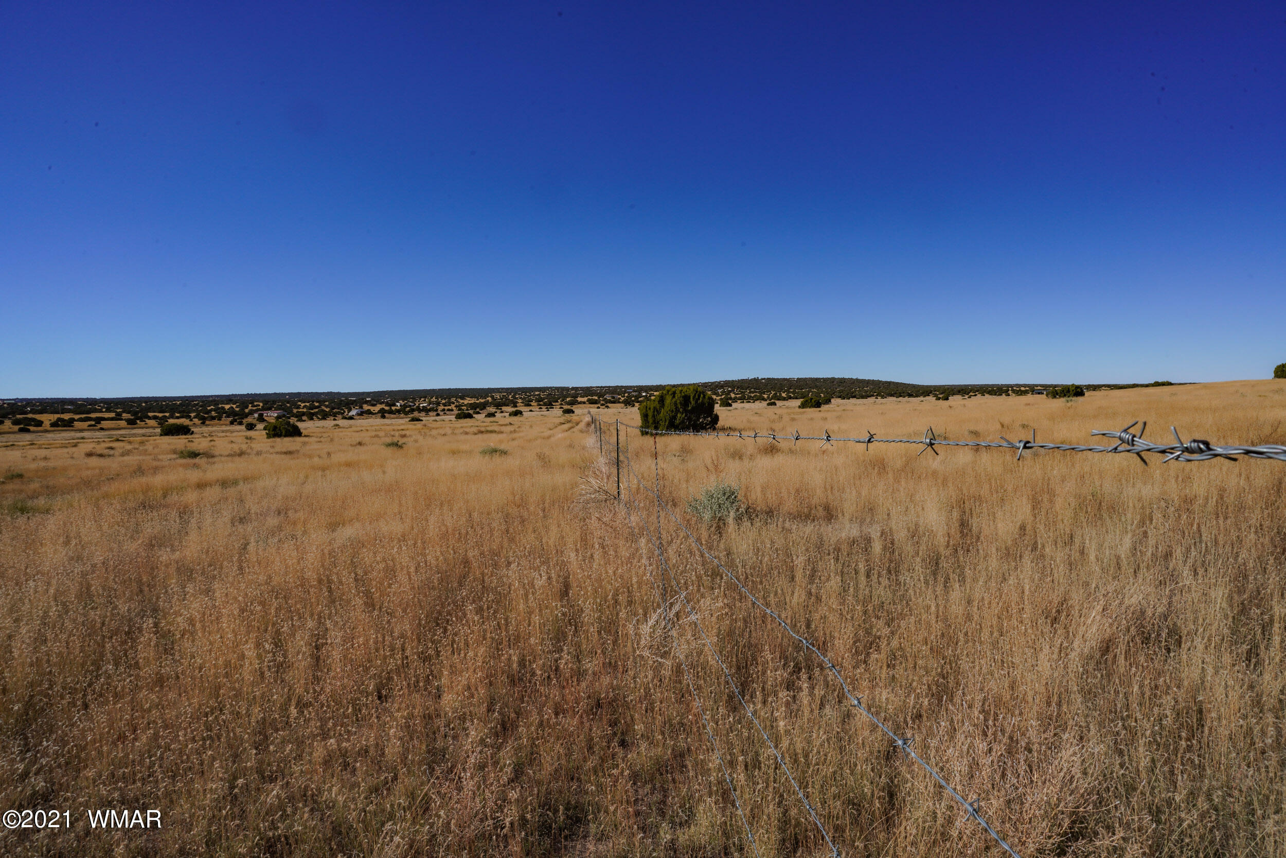 3 County Road Concho, AZ 85924 - Photo 42 of 66