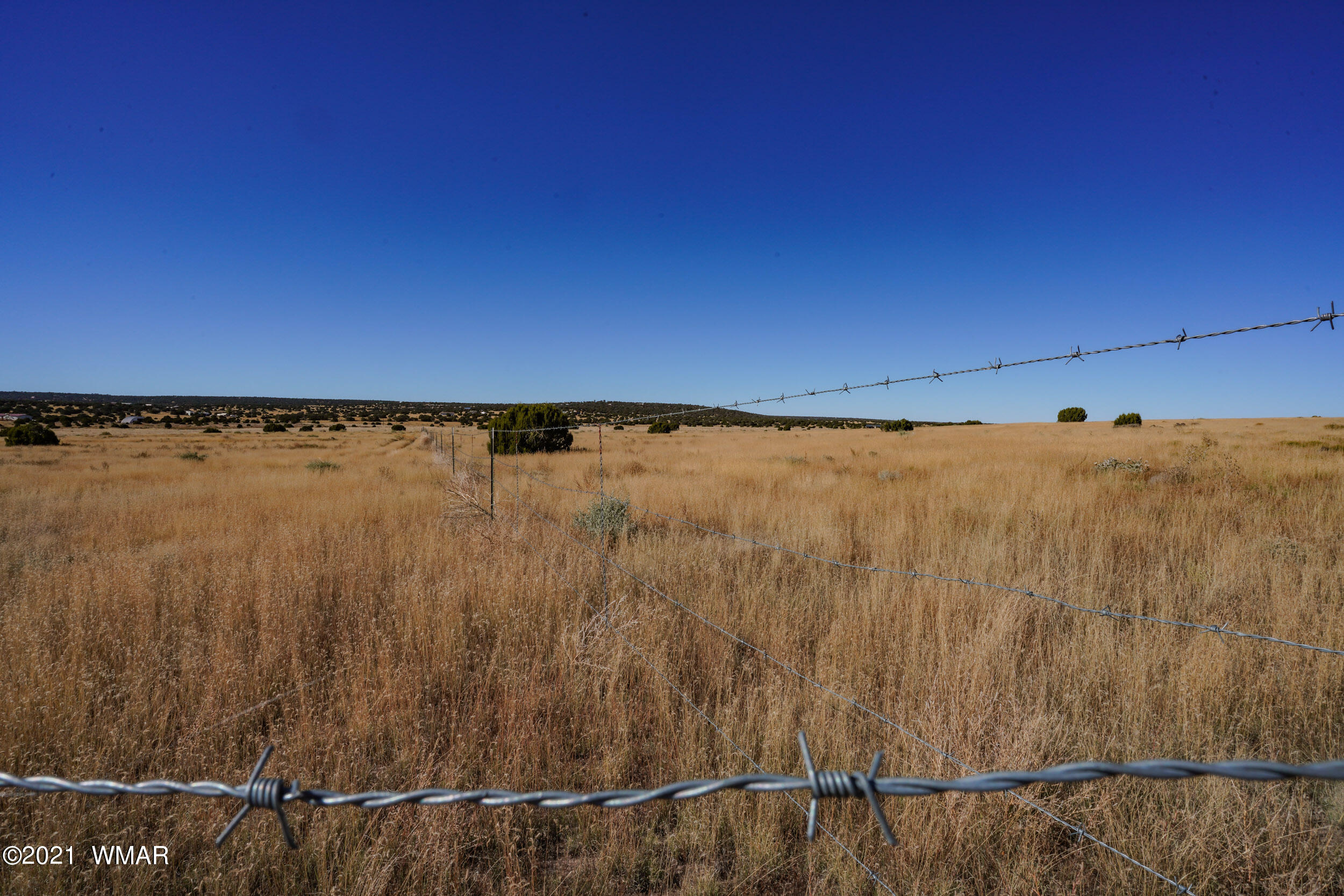 3 County Road Concho, AZ 85924 - Photo 43 of 66