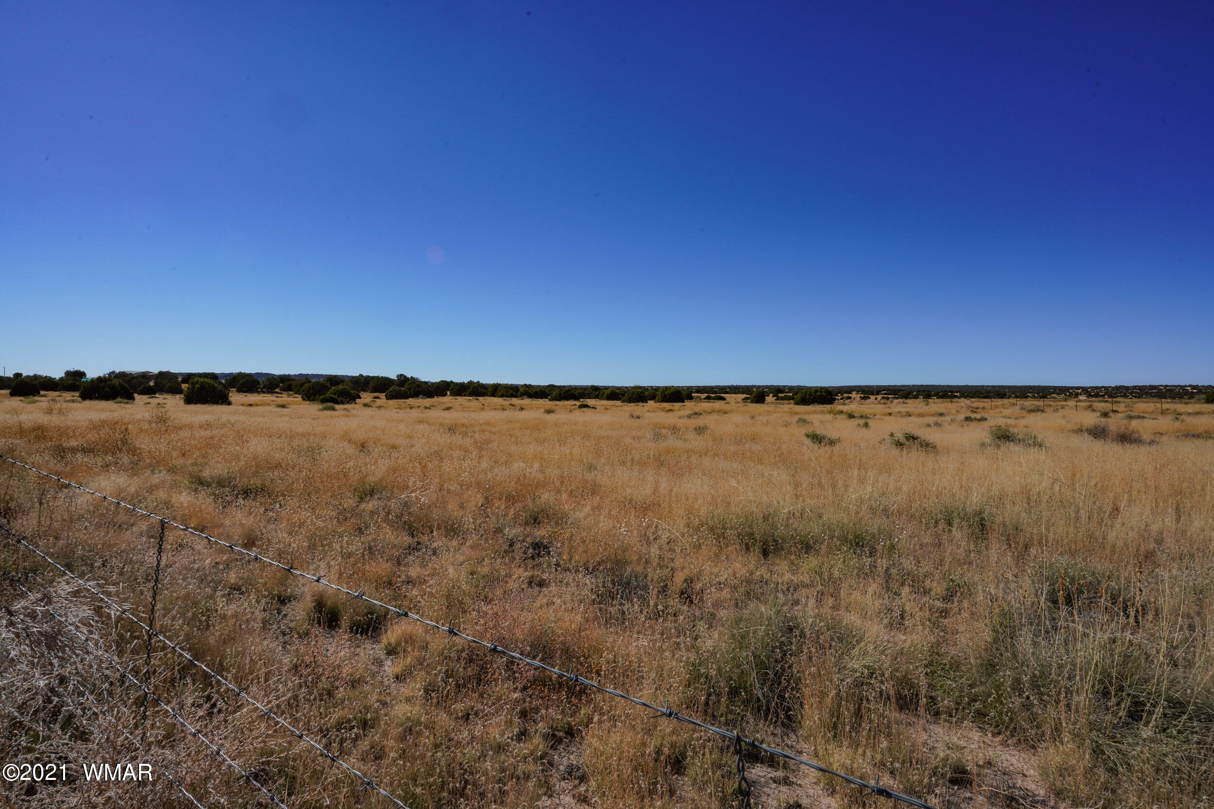 3 County Road Concho, AZ 85924 - Photo 48 of 66